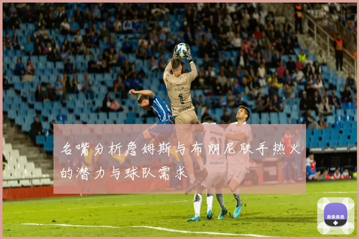 名嘴分析詹姆斯与布朗尼联手热火的潜力与球队需求