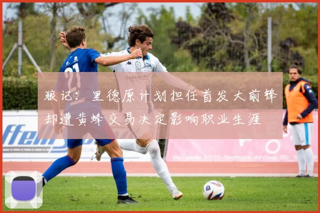 狼记：里德原计划担任首发大前锋却遭黄蜂交易决定影响职业生涯